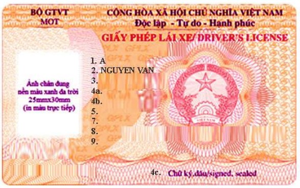 bang lai moi 1733724641442225459406 Copy